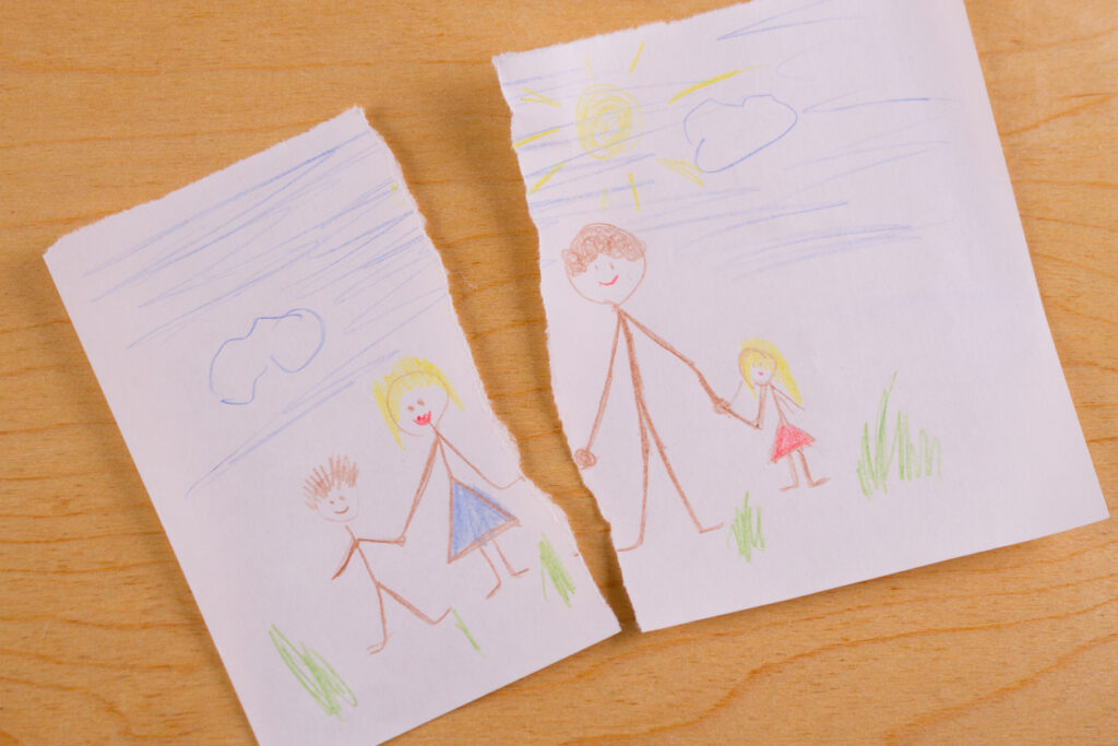 Custody Battles